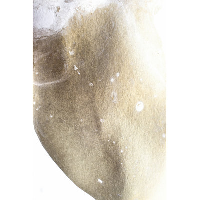 Gold Fusion III 1 Piece Wrapped Canvas Wall Art