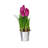 Polysilk Tulip Arrangement in Pot