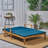 Dual Chaise Lounge for Patio and Poolside