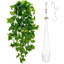 1Pcs Ensemble de plantes suspendues avec pot et support à plantes