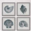 Coquillages gris - ensemble de 4 reproductions de photos-30011360