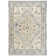 Nourison Pardis 5'3" x 7' Blue Taupe Vintage Indoor Rug