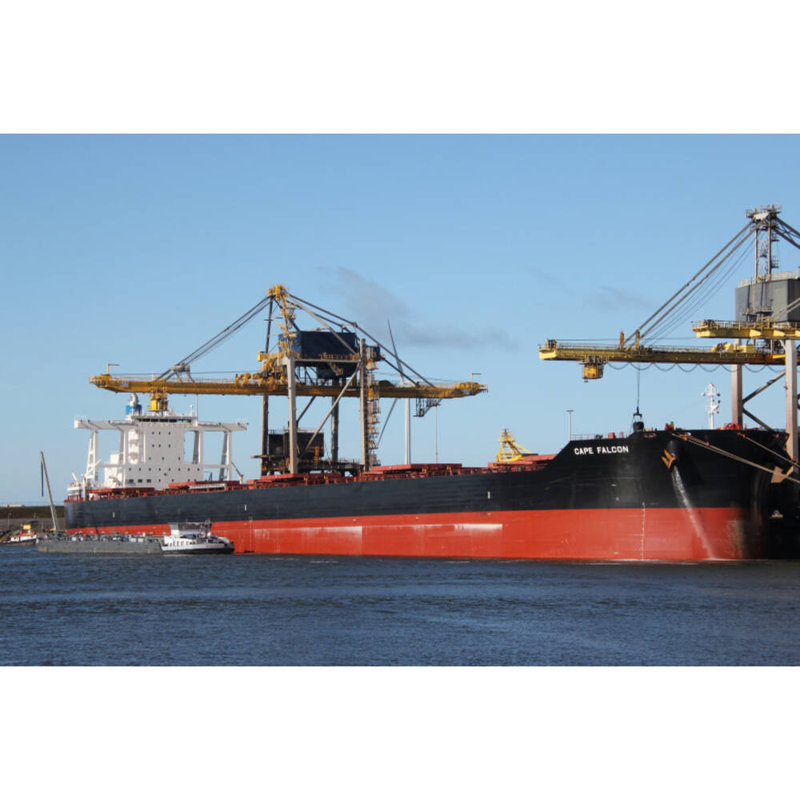 US Falcon Cape Falcon (WB-95330), modèle de navire, H 10 po x l 30 po x P 5 po