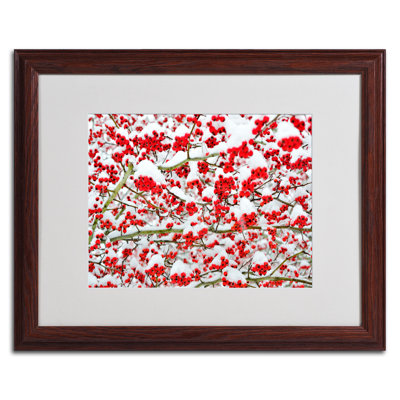 " Winter Berries in the Snow " by Kurt Shaffer Print