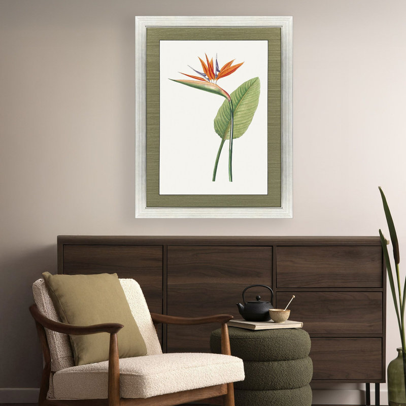 Oiseau de paradis, art encadré