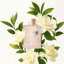 Ensemble de diffuseurs en roseau blanc et magnolia-1506310046