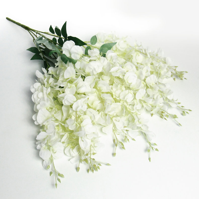 Tige de glycine suspendue, Crème