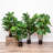 Faux Fiddle Leaf Fig Tree in Pot Liner-517611149