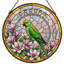 Vitrail de fenêtre en verre coloré 7,8 po H Parrot-801551282