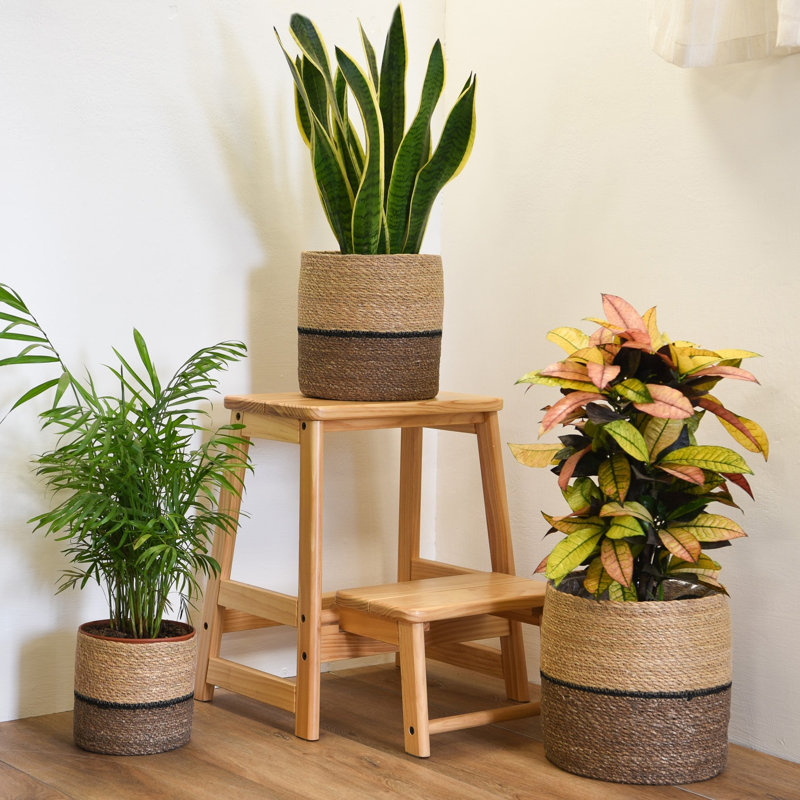 Roxanne Pot Planter