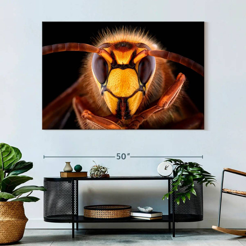Brampt European Hornet Head