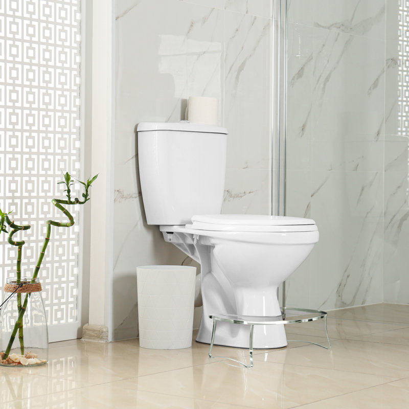 Raised Toilet Seat
