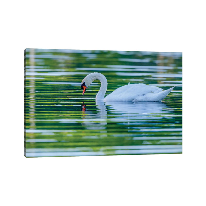 Morning Reflection by David Gardiner - Wrapped Canvas Print, 45.72cm H x 66.04cm W
