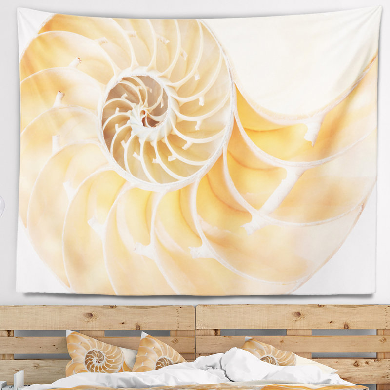 Tapisserie de coquillage nautilus brown light, H 32 po x l 39 po