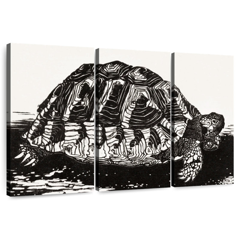 Brampt The Turtle, 36" H x 57" W