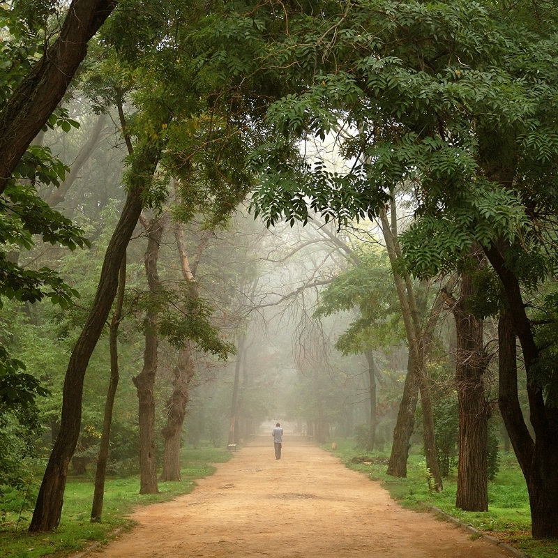«Keylanie Deep Fog On Canvas» par Anatoliy Sadovskiy, photographie, L 36 po x H 36 po