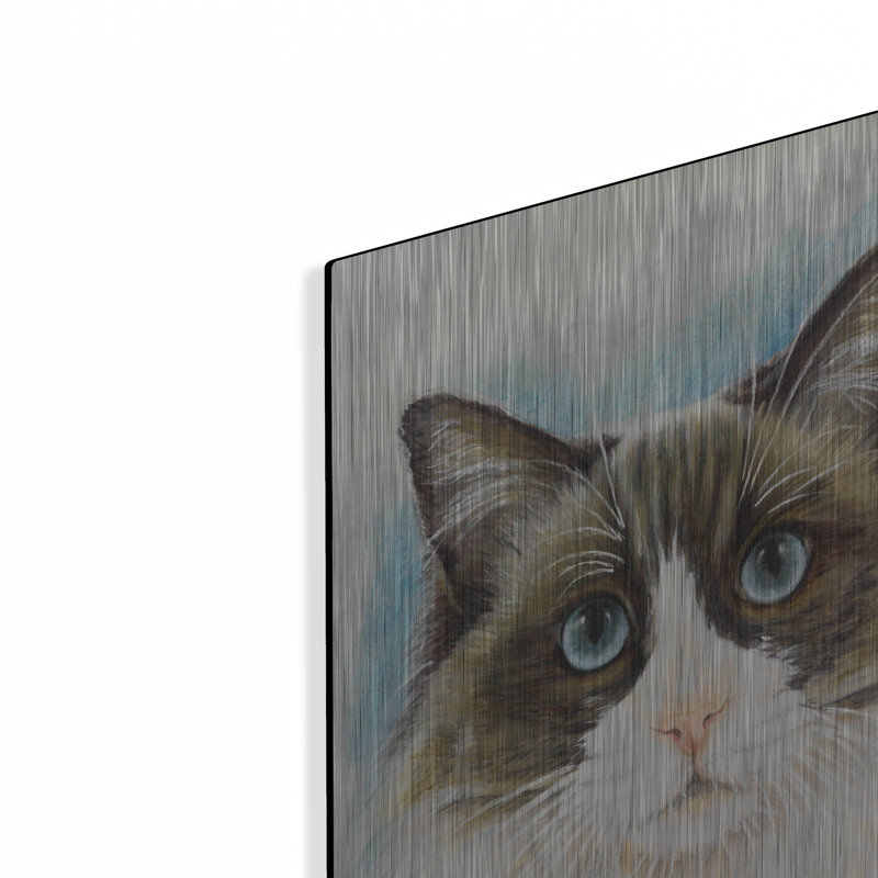 «Ragdoll 2» par Barbara Keith, H 24 po x l 16 po