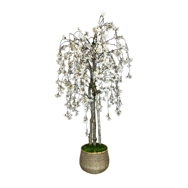 Faux Cherry Blossom Tree in Fiberstone Planter, 60" H x 34" W x 11.50" D