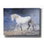 «Horse In The Fog Mist 3» par Irena Orlov-101618525