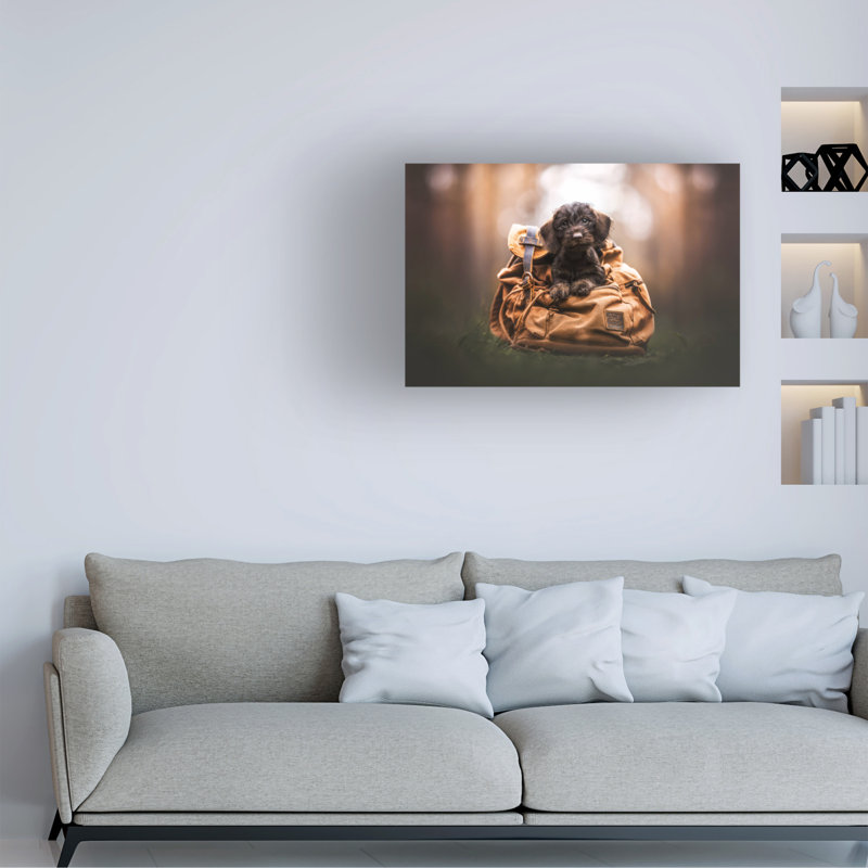 Art sur toile Natalie Grosse Adventure Buddy, H 12 po x l 19 po