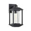 1 - Light Dimmable Weathered Graphite Flush Mount