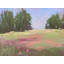 Pretty Print by Dina Gardner-2076180029-2043798249