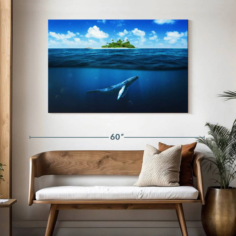 Baleine Brampt sous l'île