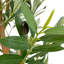 68 plantes-95099219-138916969