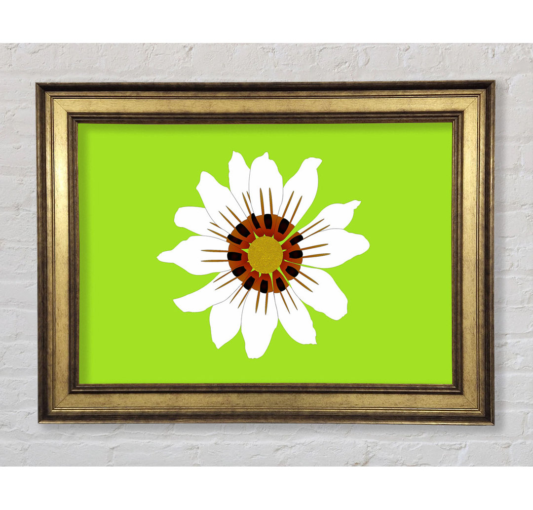 White Daisy Greens Gerahmter Druck