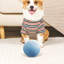 2Pcs Rechargeable Interactive Cat Toy Balls