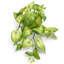 25 cm H Faux Plant-127681130