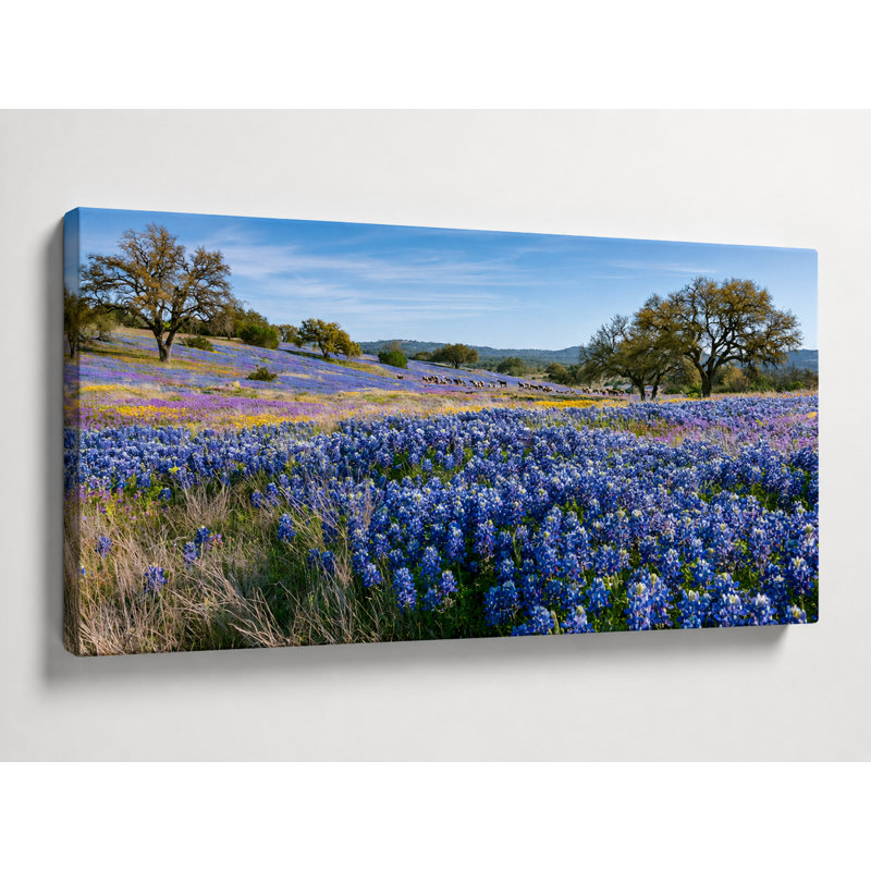 «Bluebonnet Valley Oak - Texas Wildflower Landscape», art mural sur toile tendue, 24"H x 48"W x 1.5"D