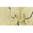 Orpheus Ivory Rug