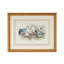 Herons Egrets & Cranes Print