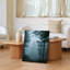 Toile «A Dense Fog Envelopps A Tranquil Forest Scene Where Towering Wall Art Trees with Intricate Branches Stretch Across The Frame», reproduction d'art-906026938