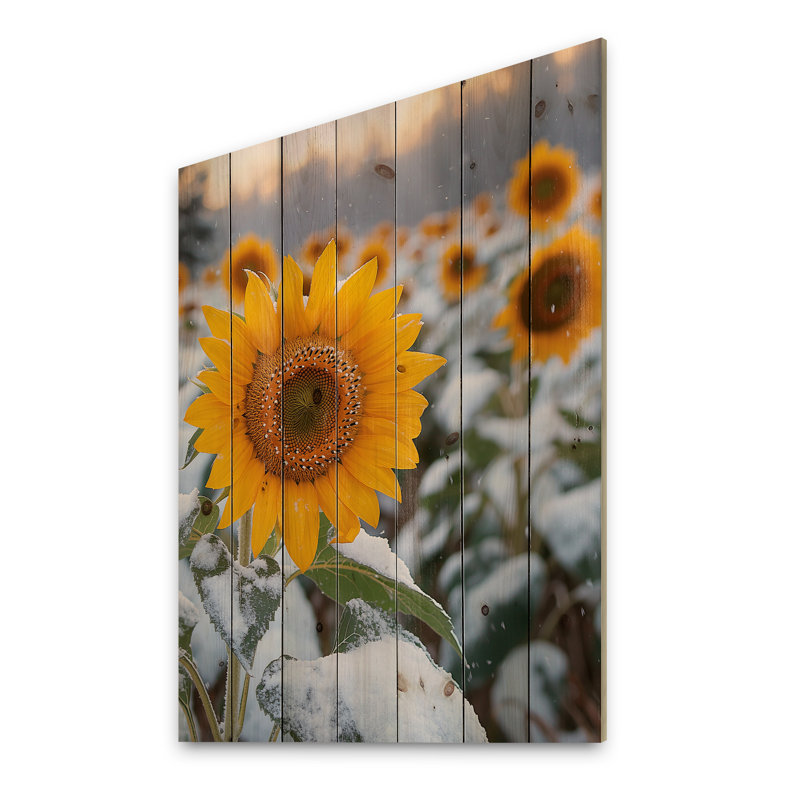Country Side Sunflowers In A Snowy Barnyard III - Sunflowers Wood Wall Decor - On Natural Pine Wood, 32" H x 24" W x 0.78" D