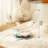 Cozy Acrylic Space Capsule Cat Bed