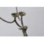 Candelabra