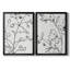 Croquis botanique I, toile encadrée de qualité supérieure - prête à être accrochée-727837626-727837631