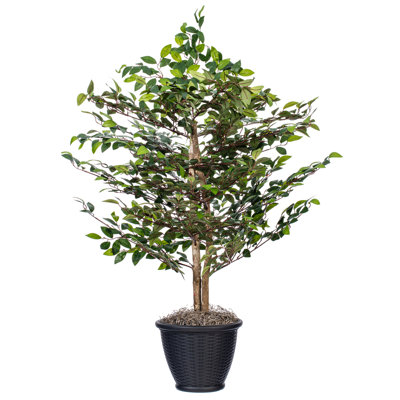Mini buisson de 4 pi tous les jours
