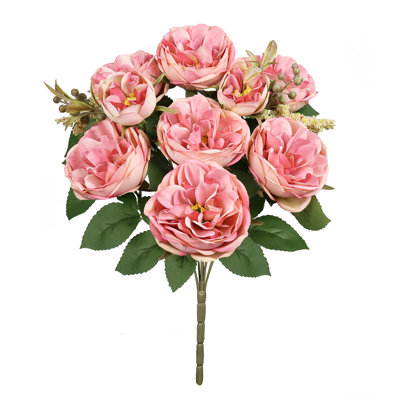 Chou rose