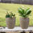 Round Brown Braided Striped Handmade Pot Planter