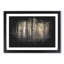 Pine Tree Forest in Spring - Picture Frame Graphic Art Print-56861544-56861543