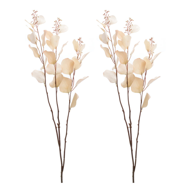  Tige d'eucalyptus , Beige