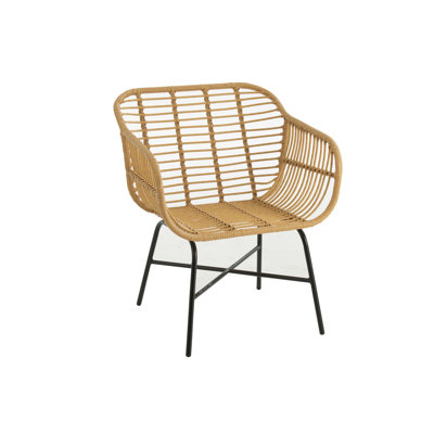 Roxana Outdoor Lounge Chair