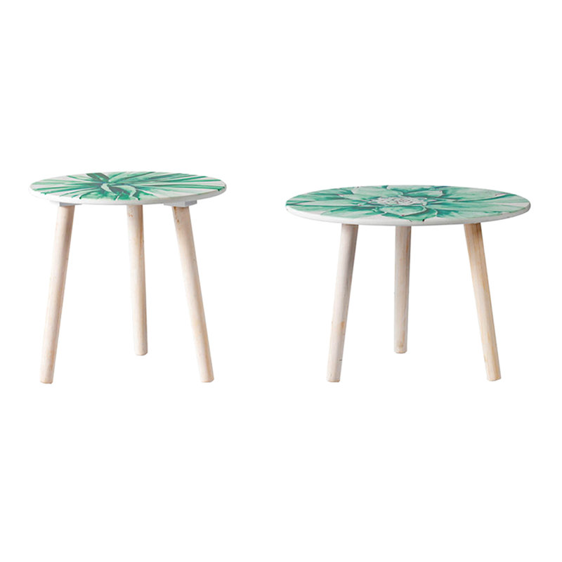 Tables d'appoint inspirées de la nature - Construction avec des motifs aquarelles succulentes Embellissez votre espace de salon en blanc