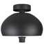Jesseka Flush Mount-1999400037