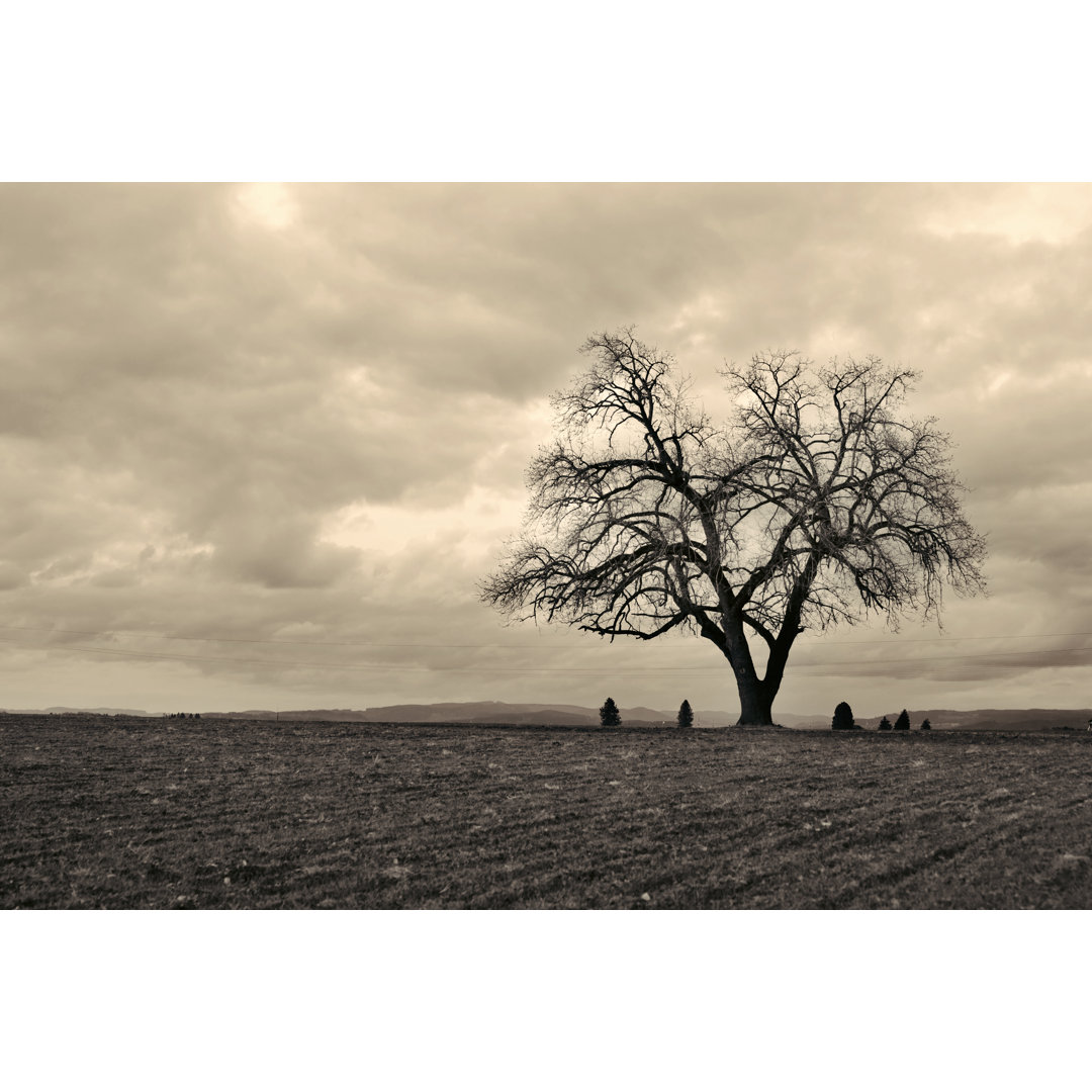 Lone Tree Series von AlterYourReality - Kunstdrucke auf Leinwand