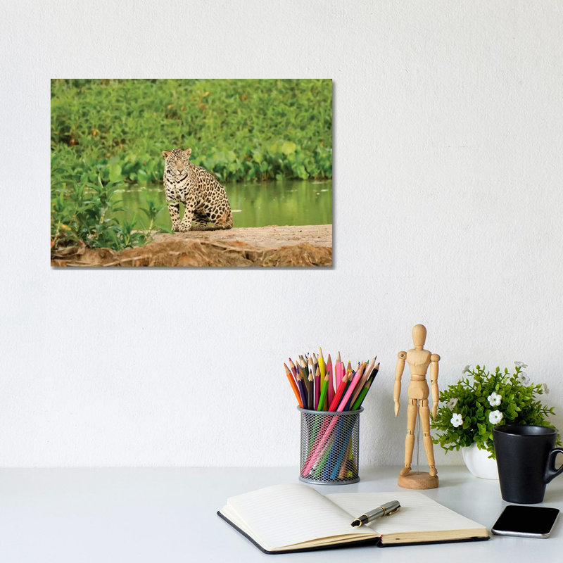 Jaguar Resting On A Sandbar Along The Cuiaba River I, Pantanal Conservation Area, Brazil by Janet Horton - Wrapped Canvas Print