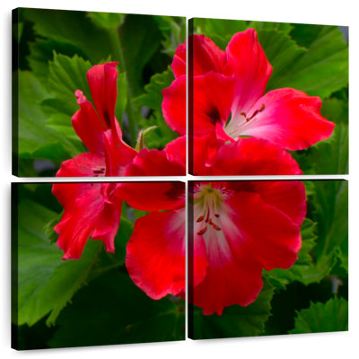 Harnek Red Hibiscus Flowers